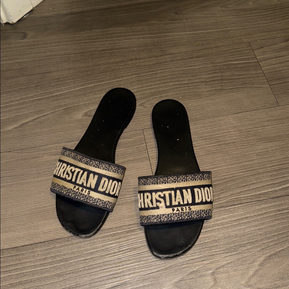 Christian Dior Blue and Tan Slides